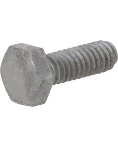 Hex Bolt - Galv - 1/4"x3/4"